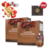 Deer Antler & Red Ginseng (Buy 2 Get FREE 1 ChunJinDan) - Health Korea Shop
