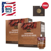 Deer Antler & Red Ginseng (Buy 2 Get FREE 1 ChunJinDan) - Health Korea Shop