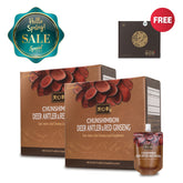 Deer Antler & Red Ginseng (Buy 2 Get FREE 1 ChunJinDan) - Health Korea Shop