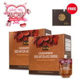 Deer Antler & Red Ginseng (Buy 2 Get FREE 1 ChunJinDan) - Health Korea Shop