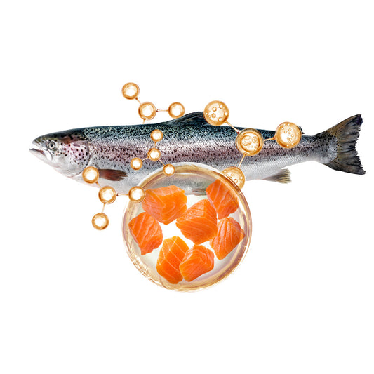 Low-Molecular Fish Collagen: A Molecular Innovation for Skin and Joint Health