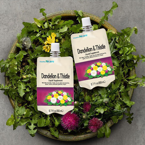 Dandelion & Thistle Juice 30pk - Health Korea Shop