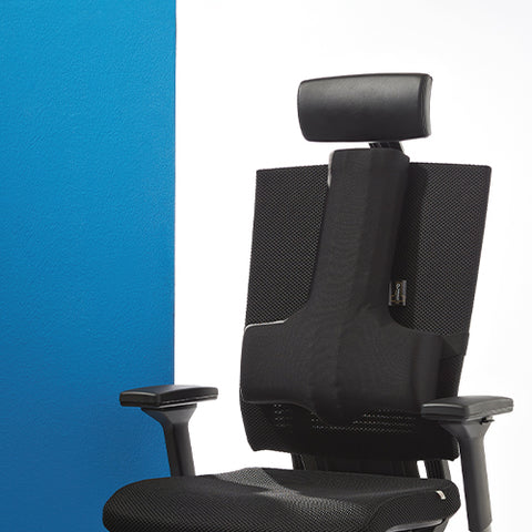 [Balancecord] Back Cushion - Health Korea Shop